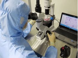 細胞技術服務與技術創新發展